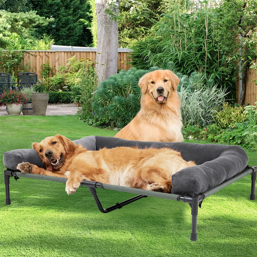 Outdoor Camping Cot - BINGOPAW Outdoor-Hundebett: Erhöhtes Kühlbett für Haustiere
