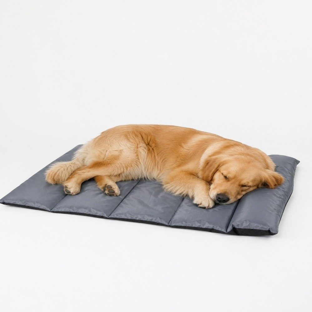 Faltbare Haustier-Schlafmatte  – Outdoor Camping Dog Bed Bewertung und Preis