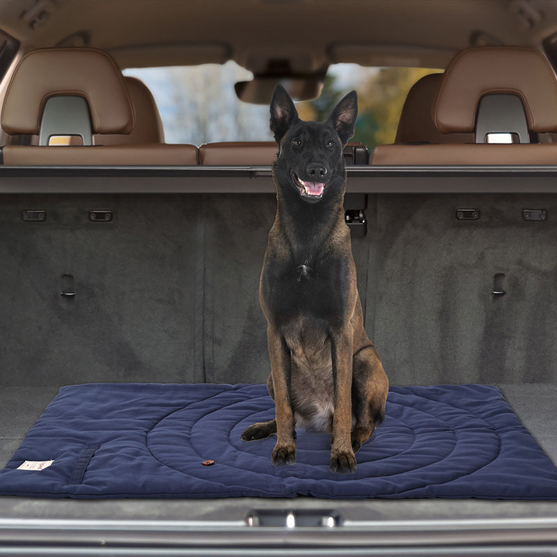 Tragbare Haustier matte faltba – Outdoor Camping Dog Bed Bewertung und Preis