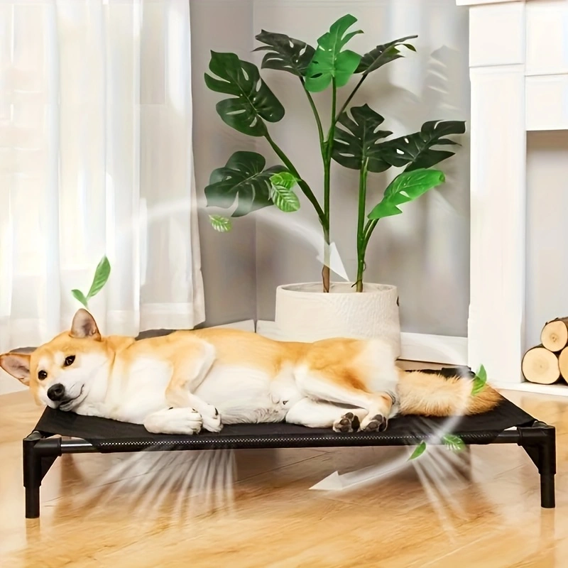 Kühlendes erhöhtes Hundebett – – Outdoor Camping Dog Bed Bewertung und Preis