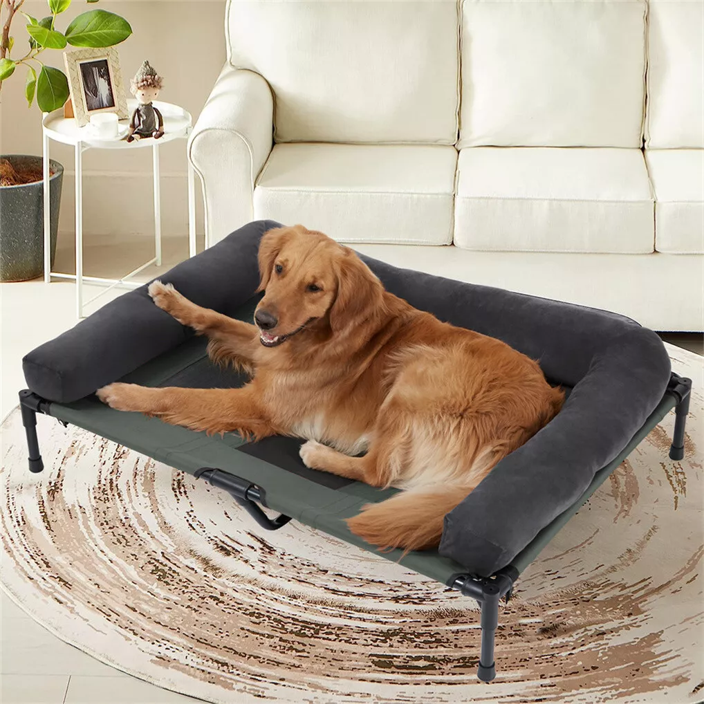 BINGOPAW Outdoor-Hundebett: Er – Outdoor Camping Cot Bewertung und Preis