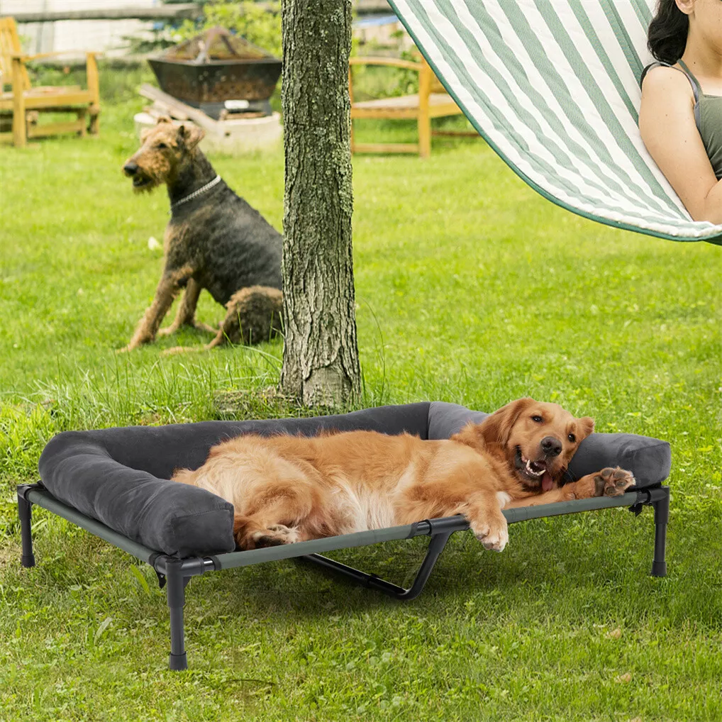 BINGOPAW Outdoor-Hundebett: Er – Outdoor Camping Cot Bewertung und Preis