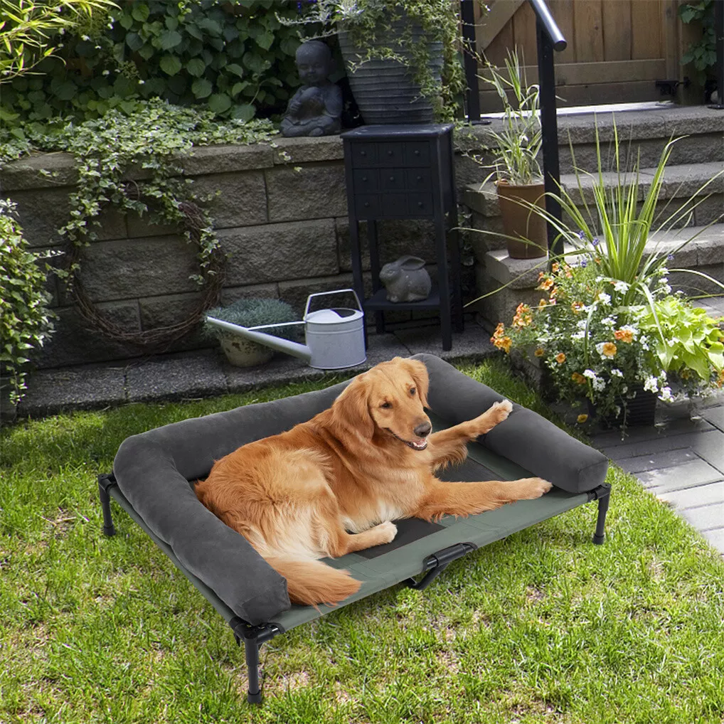 BINGOPAW Outdoor-Hundebett: Er – Outdoor Camping Cot Bewertung und Preis
