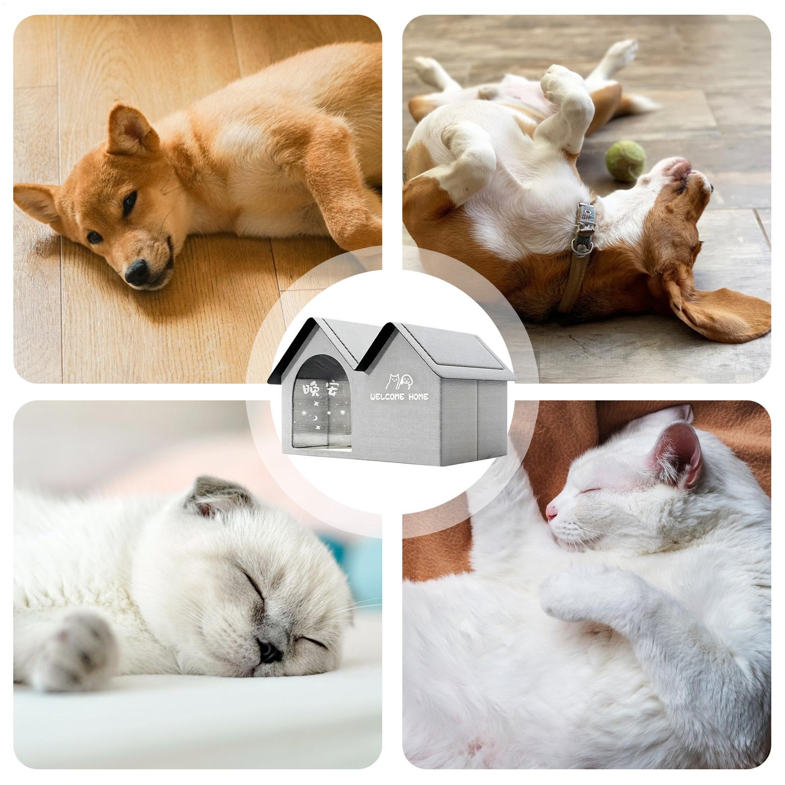 Kühlendes Hundehaus, isoliert, – Outdoor Camping Dog Bed Bewertung und Preis