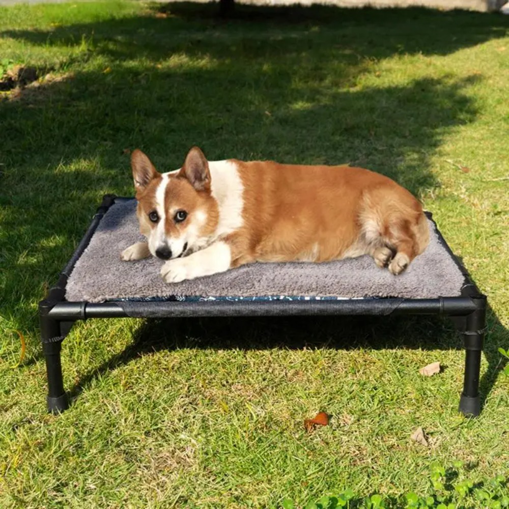 Erhöhtes Hundebett für Draußen – Outdoor Camping Dog Bed Bewertung und Preis