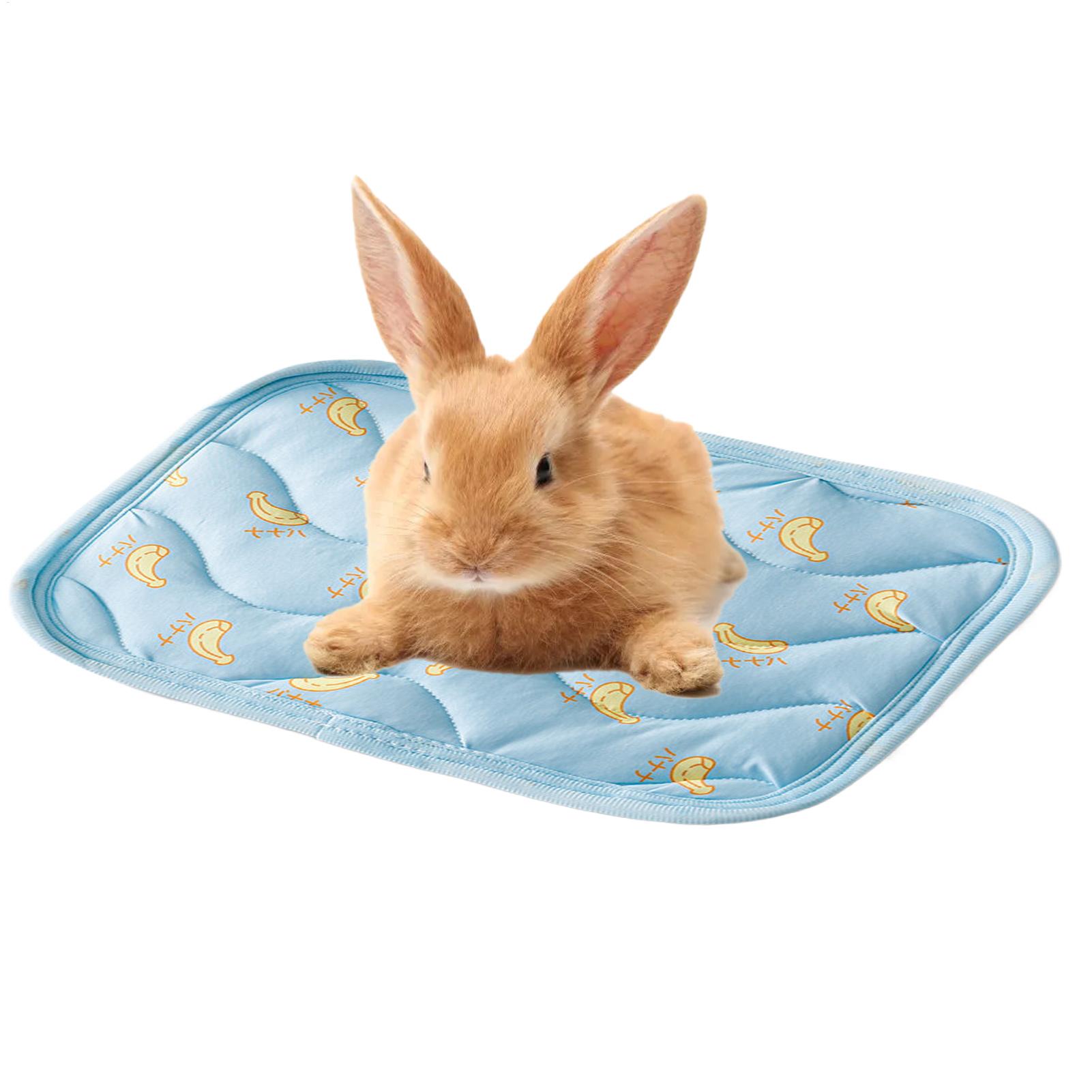 Tragbare, Langlebige Kühlmatte – Outdoor Camping Dog Bed Bewertung und Preis